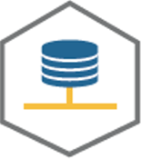 Server(����)